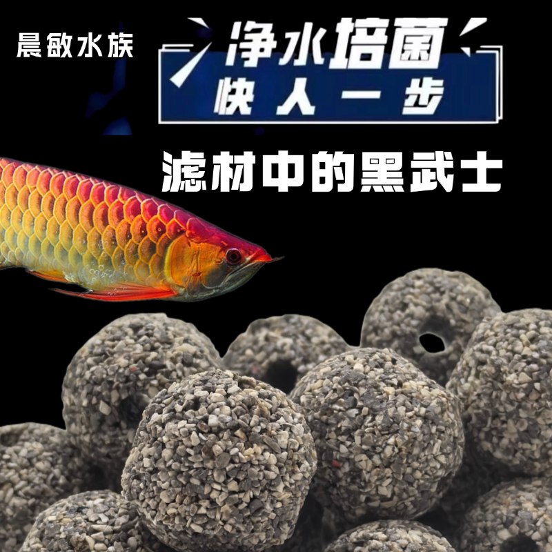 黑武士原矿鱼缸过滤培菌净水快速培养硝化细菌滤材