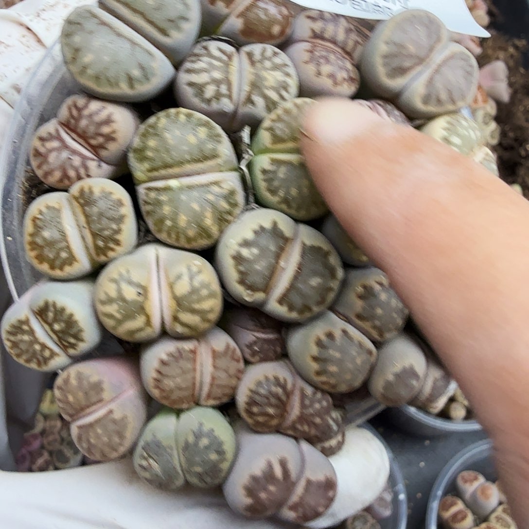 就这样在这个城市生活一535是