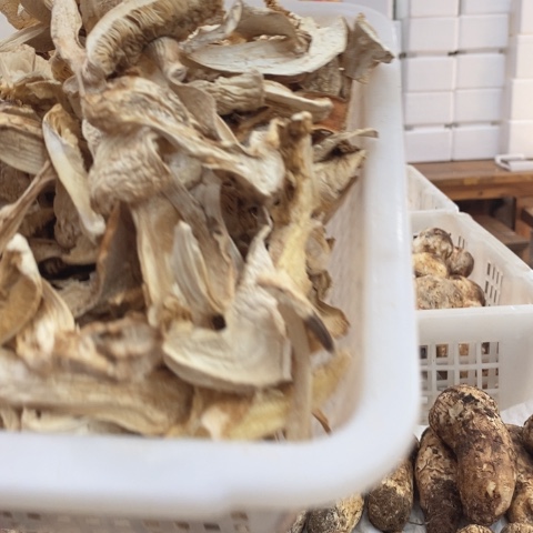 松茸干中国大陆一物一拍