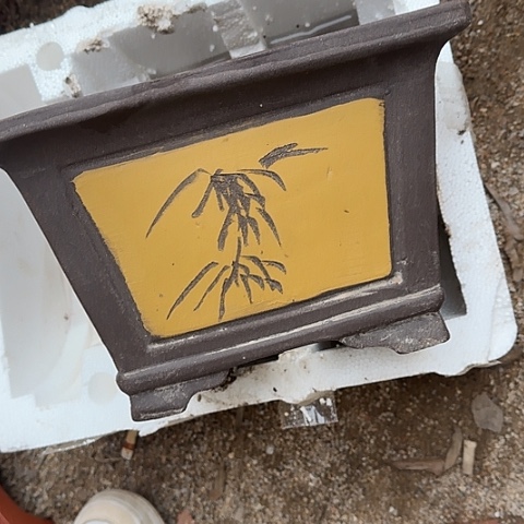 紫砂25黄四方花盆花盆