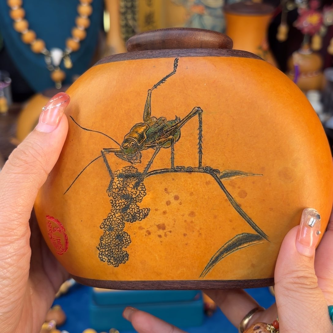 我们的生活也是如此的丰富多彩