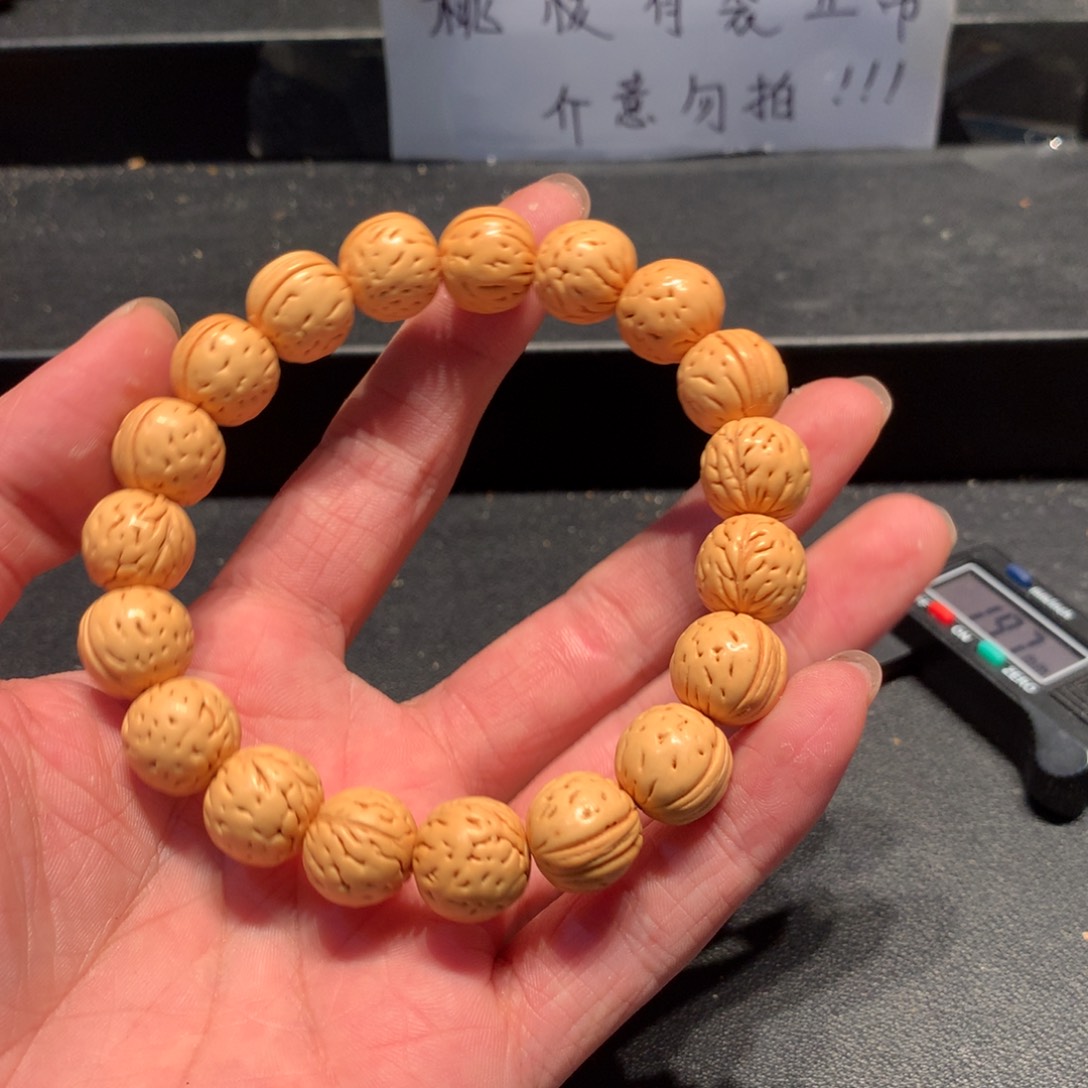 盘锦肌肉二十二链接