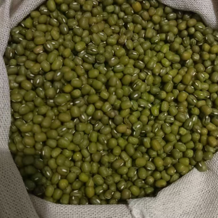 【2025新绿豆】农家自种小绿豆新货五谷杂粮发豆牙汤粥原料