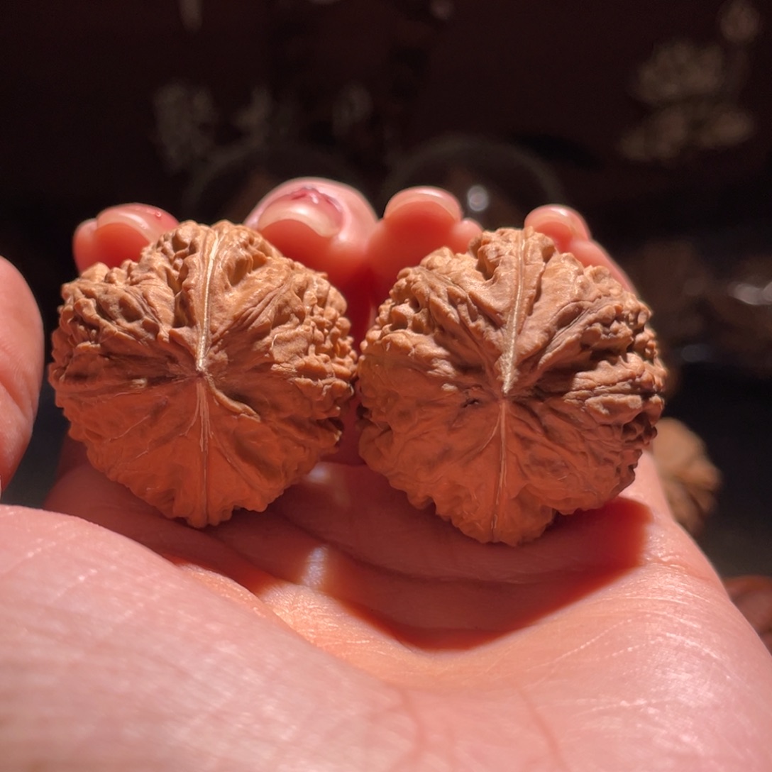 文玩核桃吊坠蝴蝶庄12