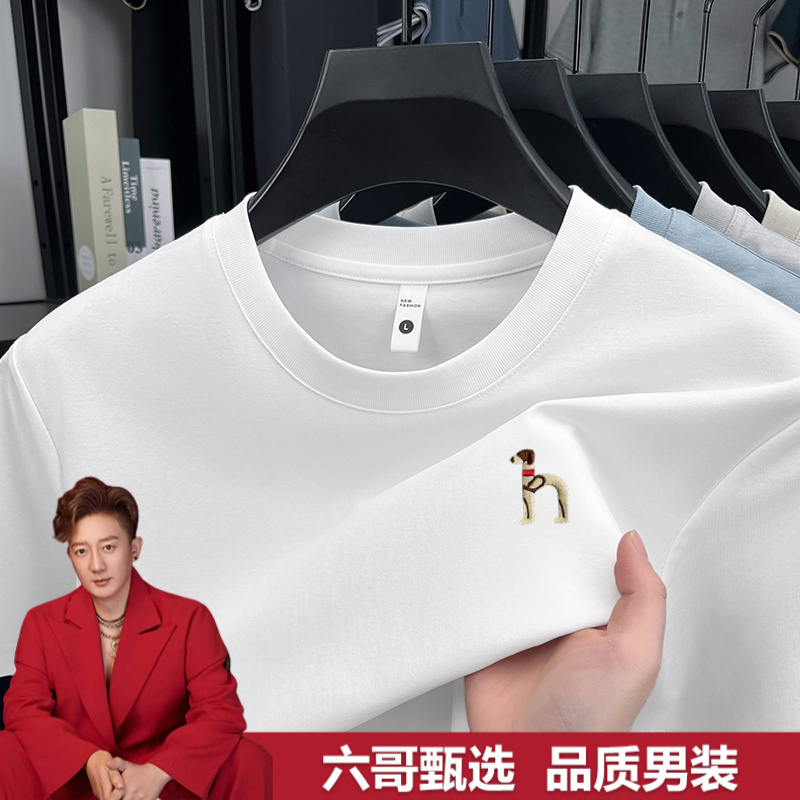  【专卖店发货 专柜撤柜清仓】轻奢短袖T恤夏季100%纯棉刺绣上衣男