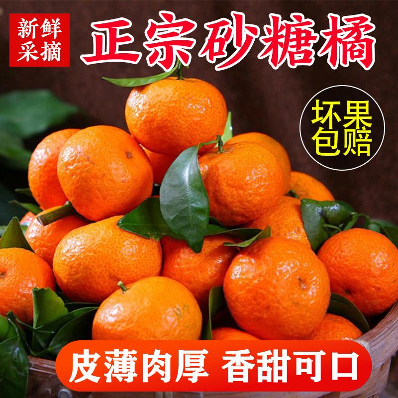 （京东包邮）（大小混装）正宗广西高山砂糖桔不打蜡不抛光