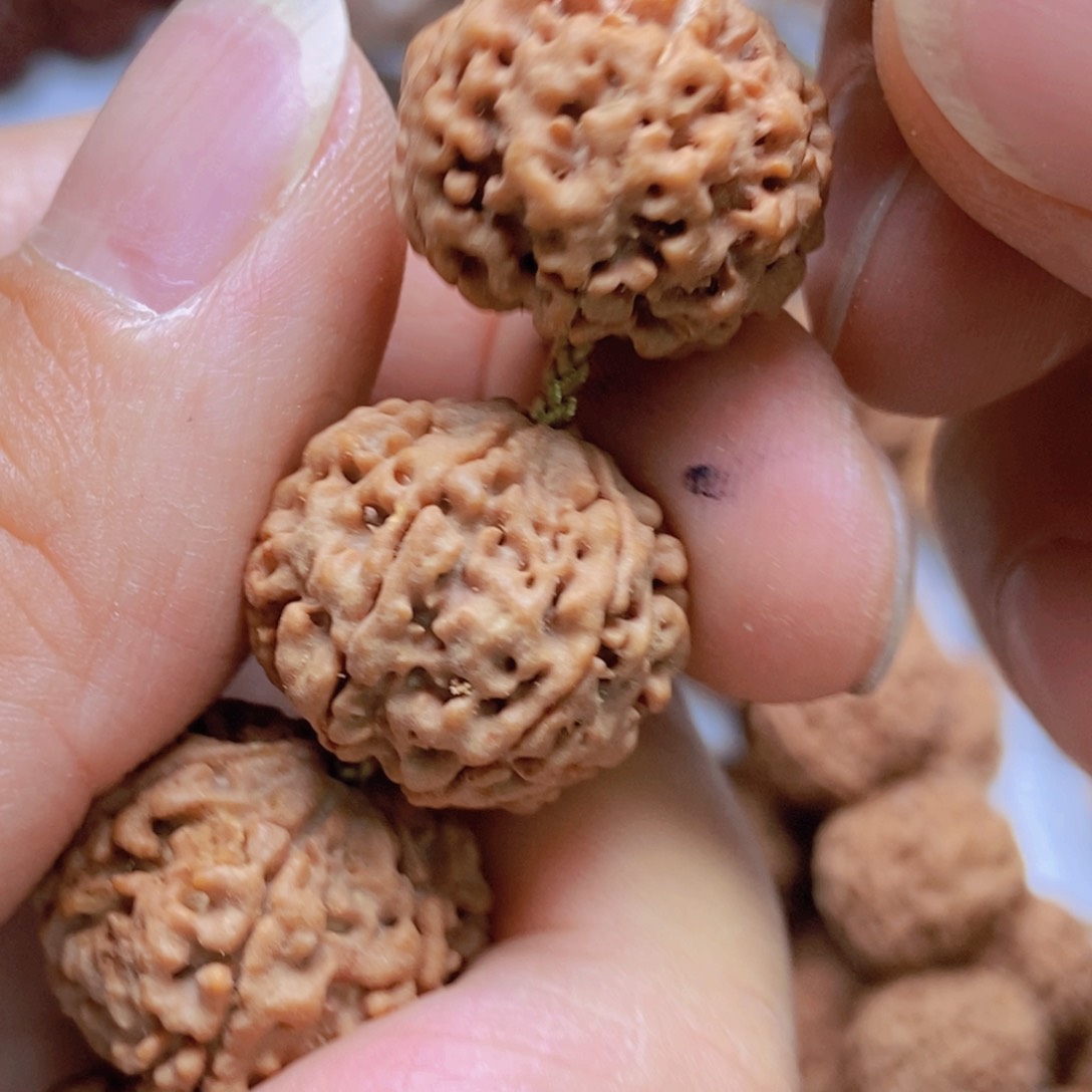 金刚菩提吊坠6瓣19原生态