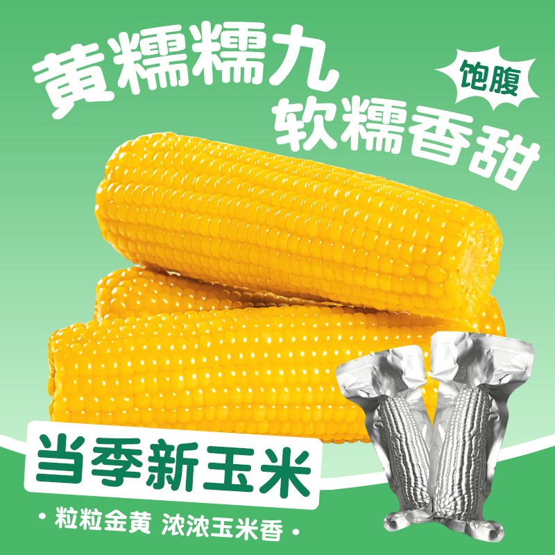 铝箔25年头茬新玉米博斯糯9号 黄糯玉米整箱10根东北玉米170-200g