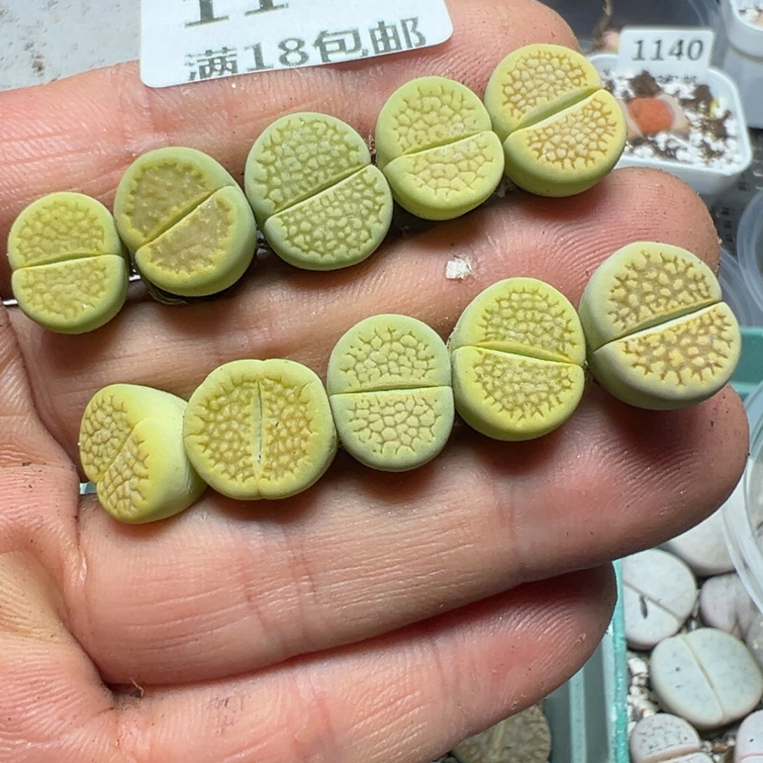 【闪购商品】 1148。      