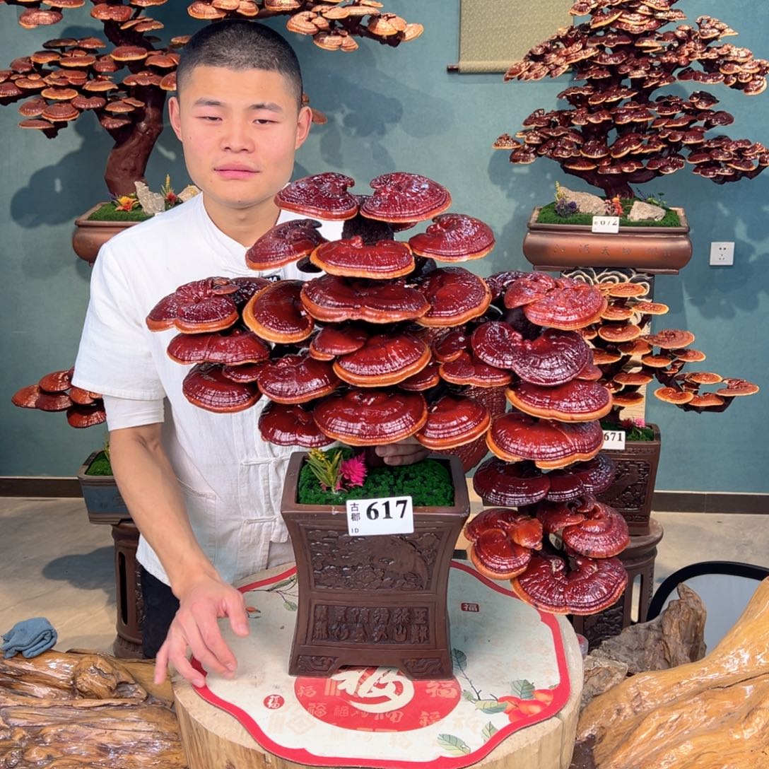 无花朵888888888888