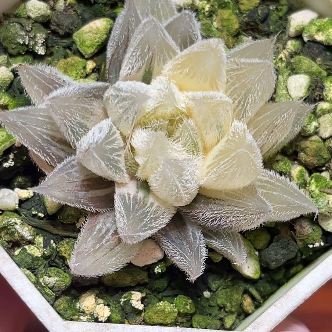 恭喜发财大吉大利0404