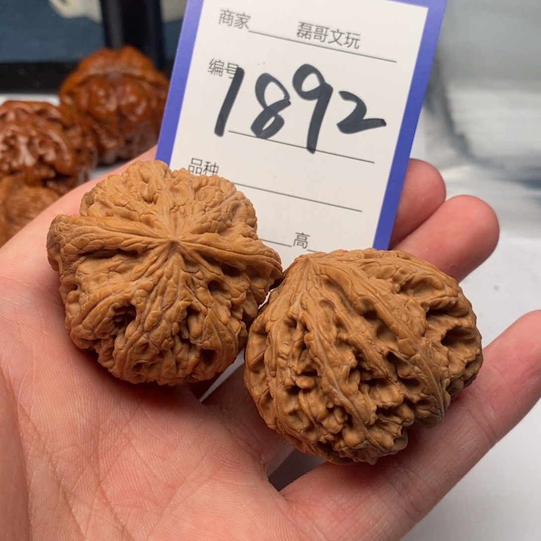 文玩核桃把件1892
