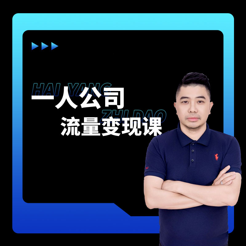 一人公司流量变现课