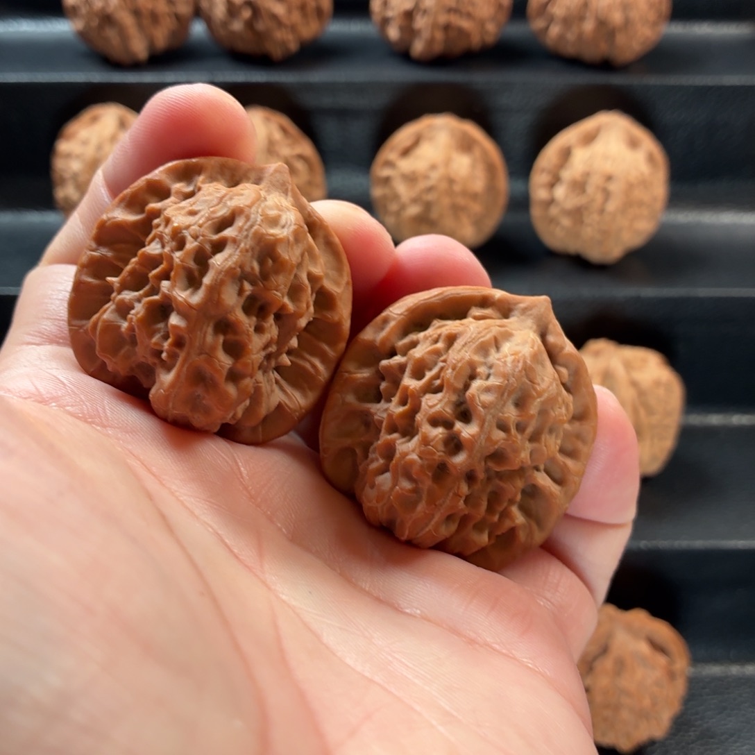 桃核把件蓟县山地白蛇谷39