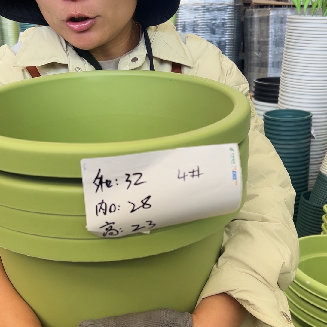 球根盆4#果绿色5个无托