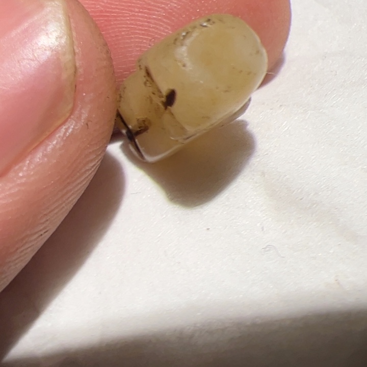 玻璃配饰你在一起的