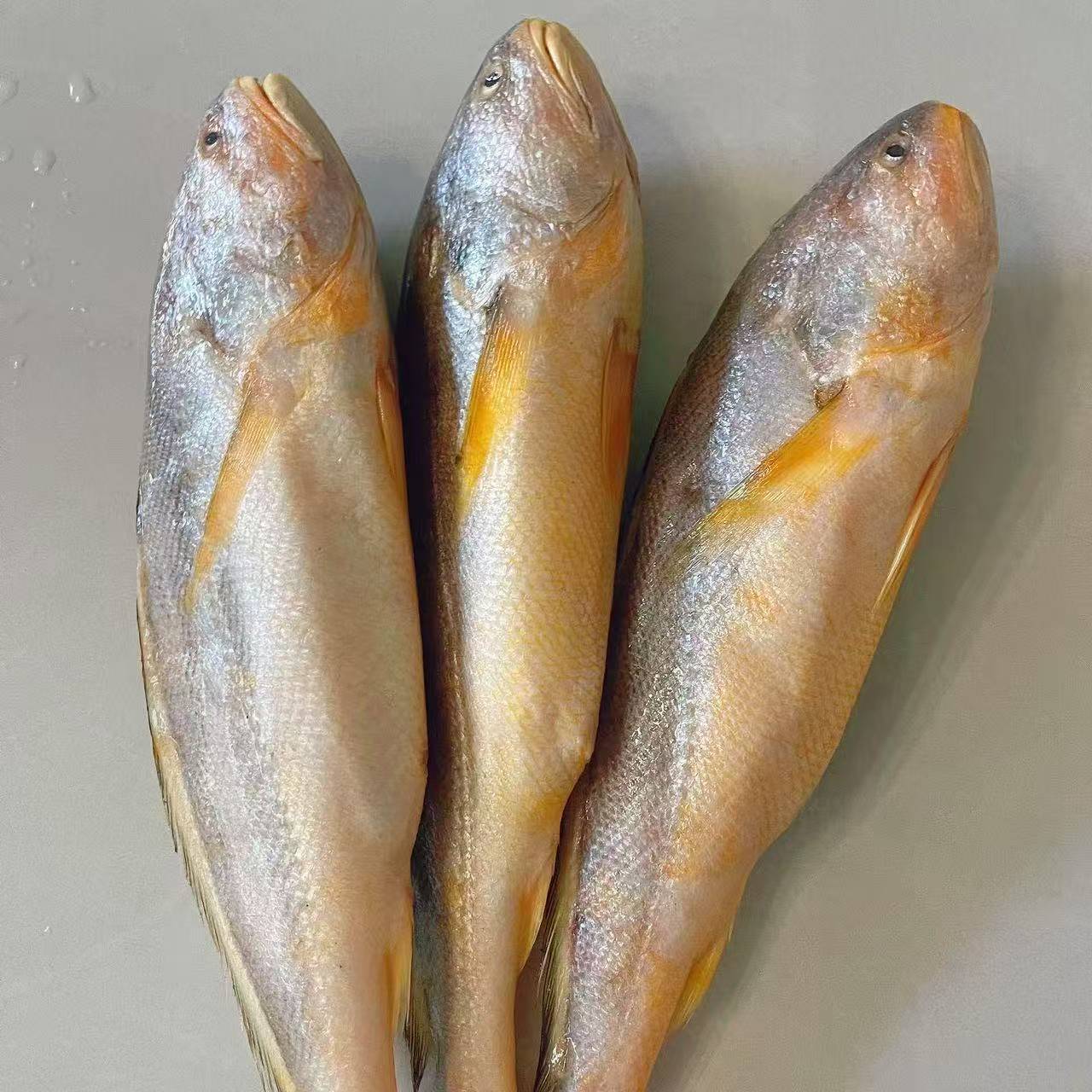 肉质鲜嫩野生海黄鱼 每条1-1.2斤左右 顺丰冷链直发到手4条 W