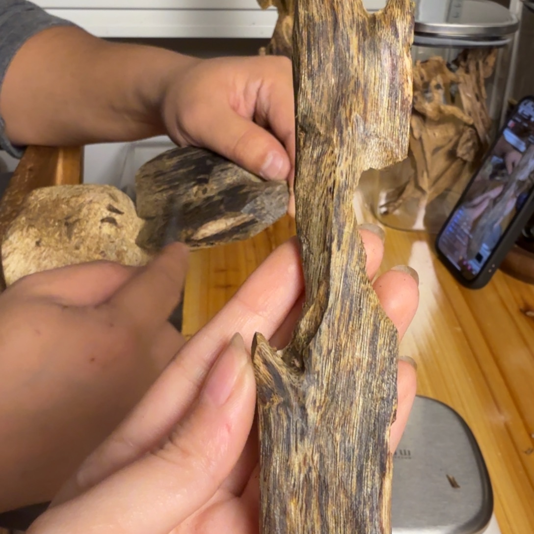 沉香白奇虫漏香21克