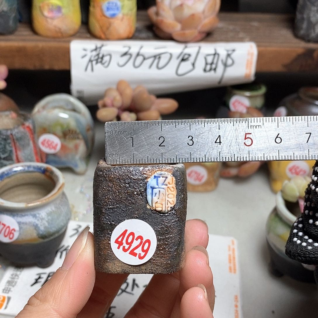 红陶拍5送一个小