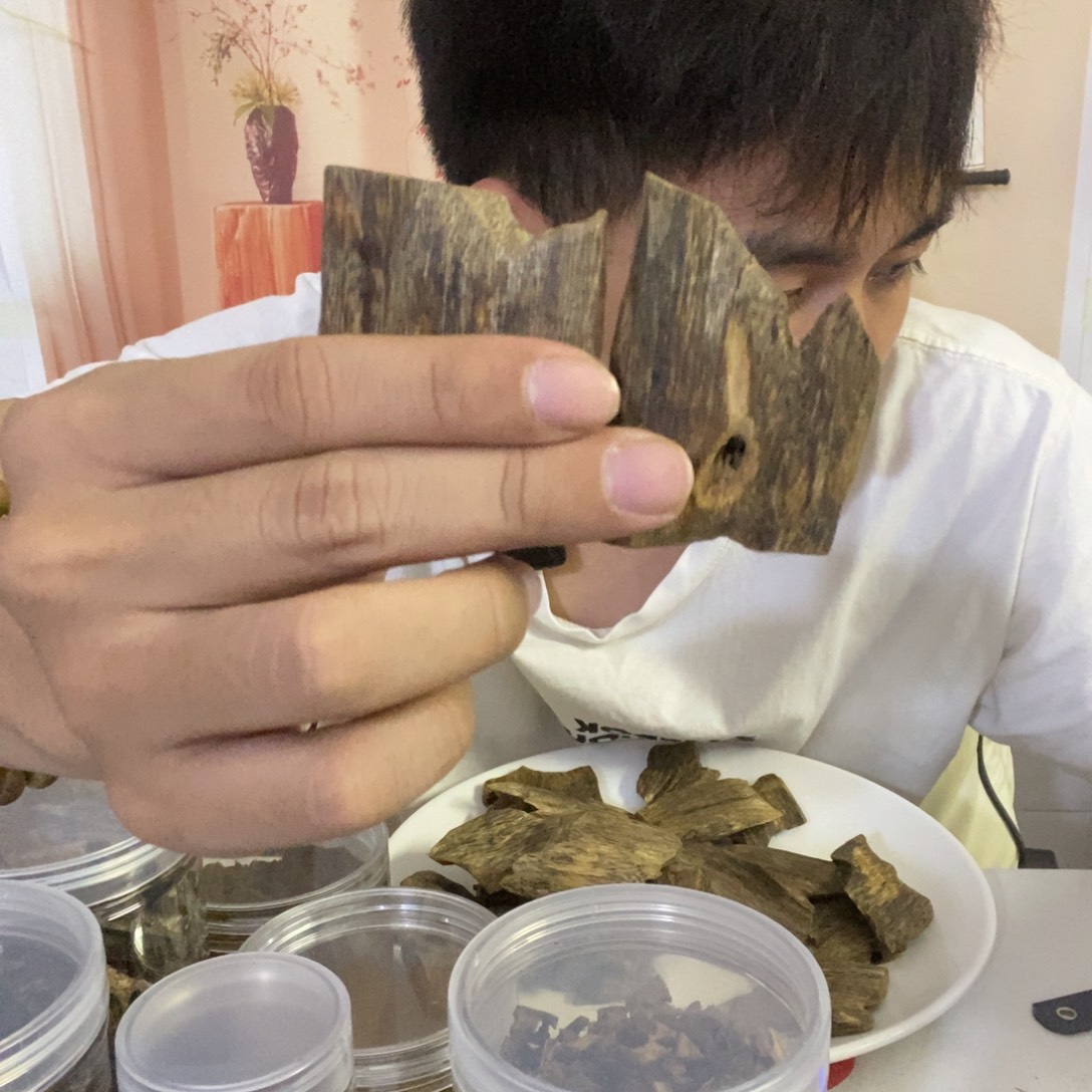 楠木哈哈哈哈哈哈哈哈哈