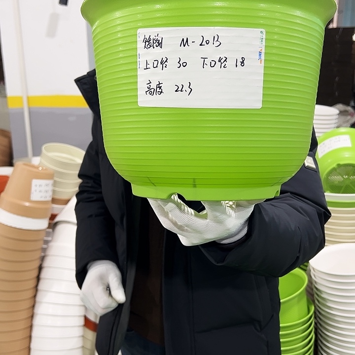 正品矮陶口30高21果绿5只无托