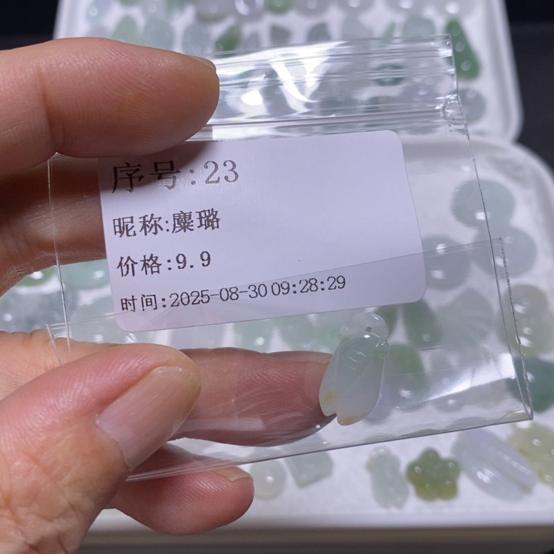 麋***璐吊坠(不含链)未镶嵌翡翠