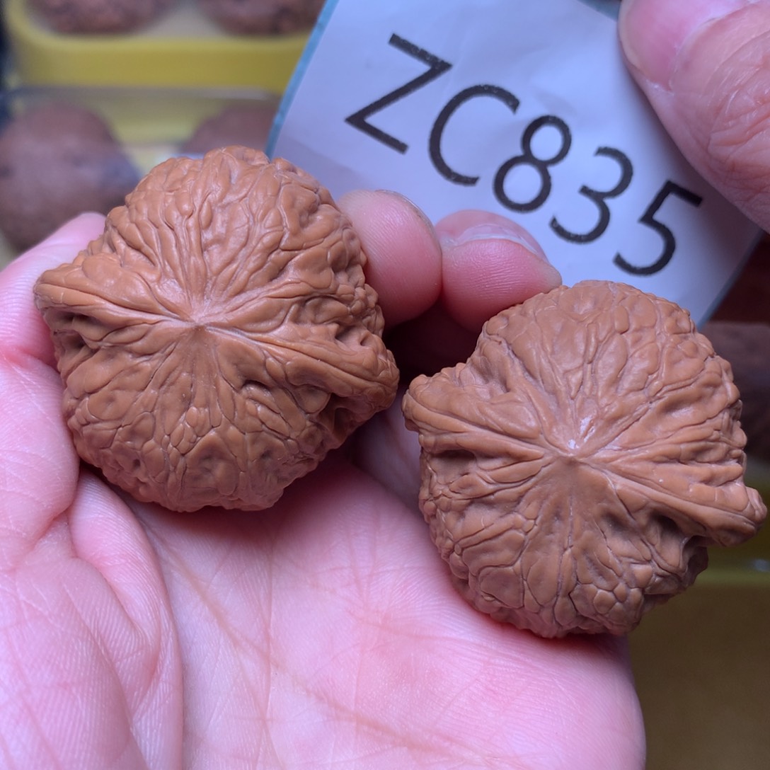 文玩核桃把件毕业肉球铁锤妹妹38