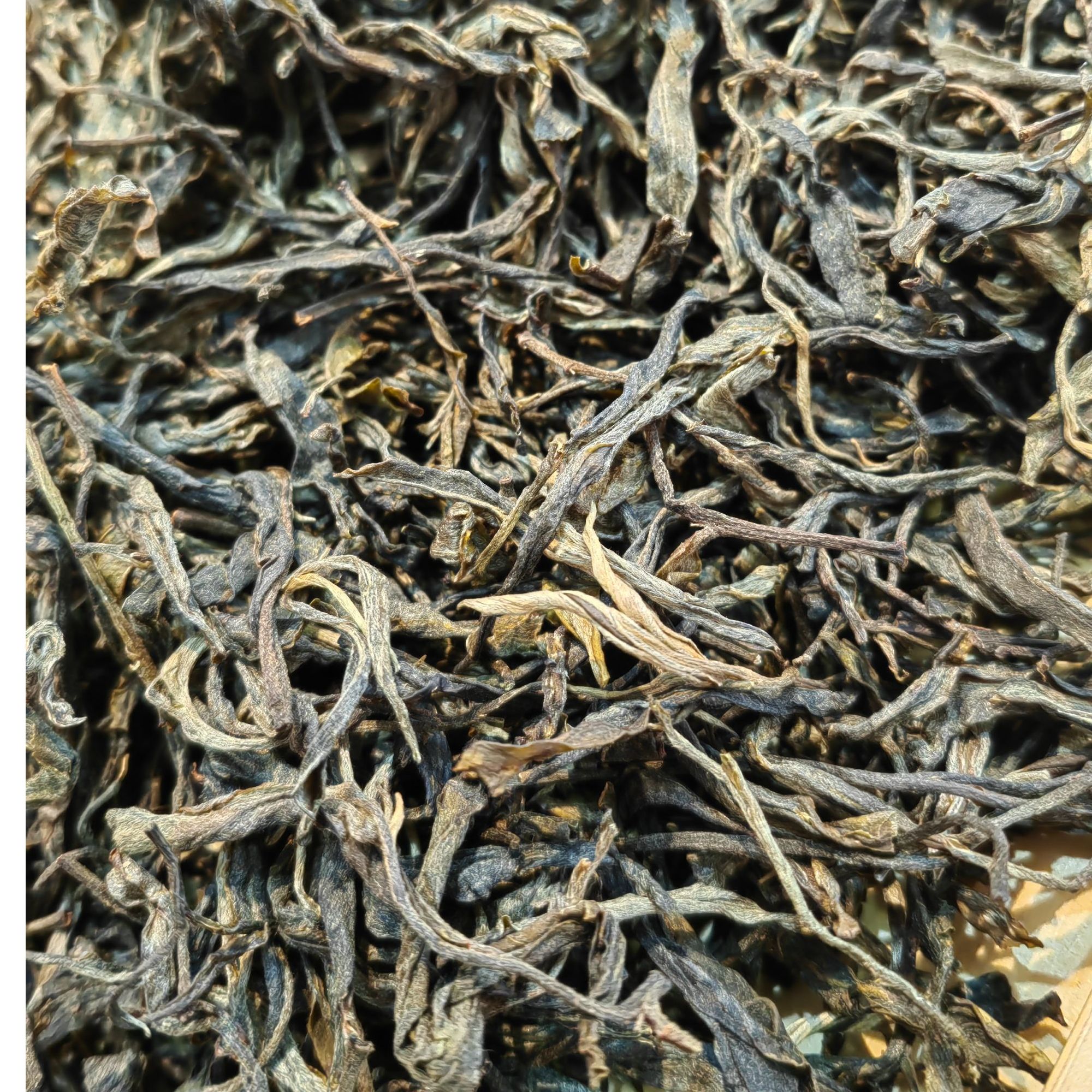 源之茗茶业   17年麻黑357克生