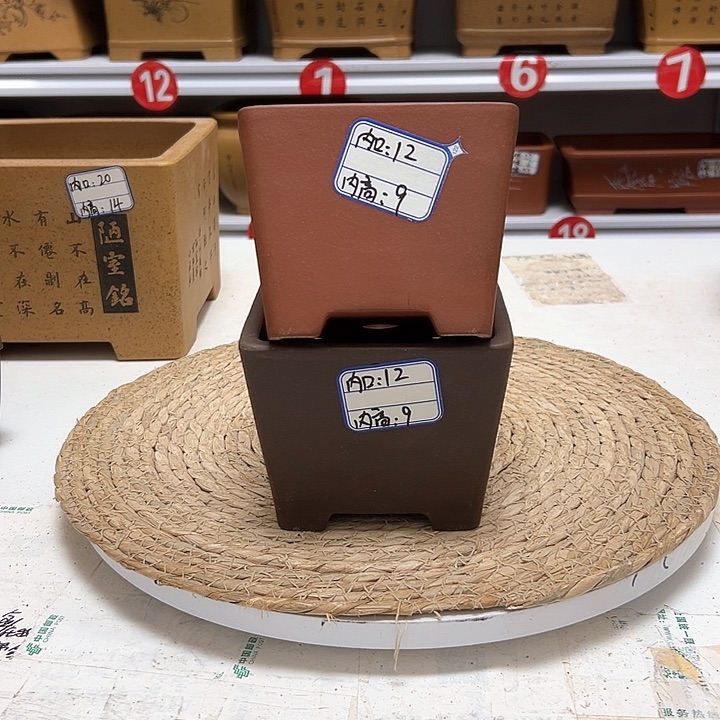 紫砂花盆蛇年大吉