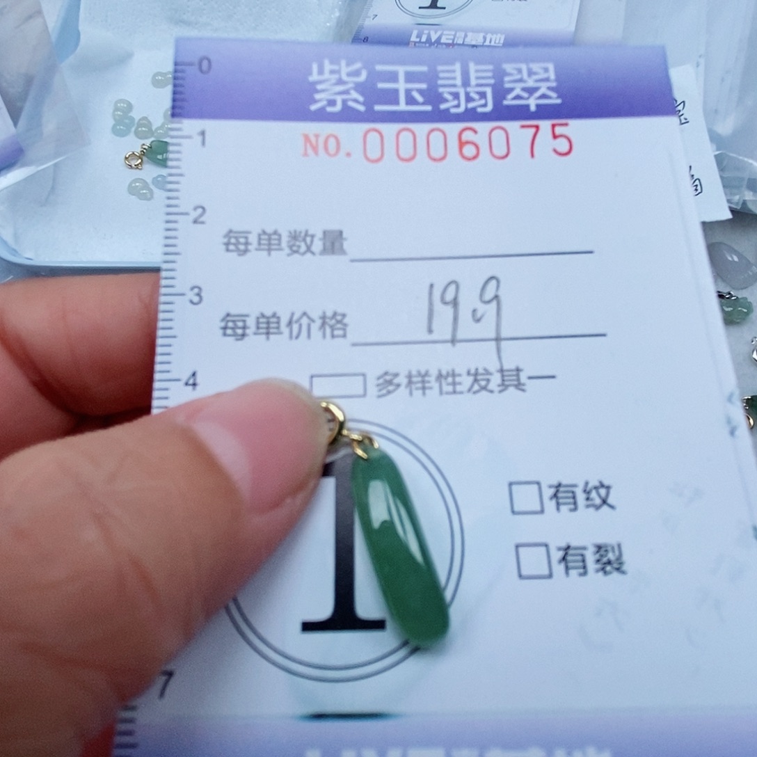 颈饰未镶嵌翡翠冰透随行