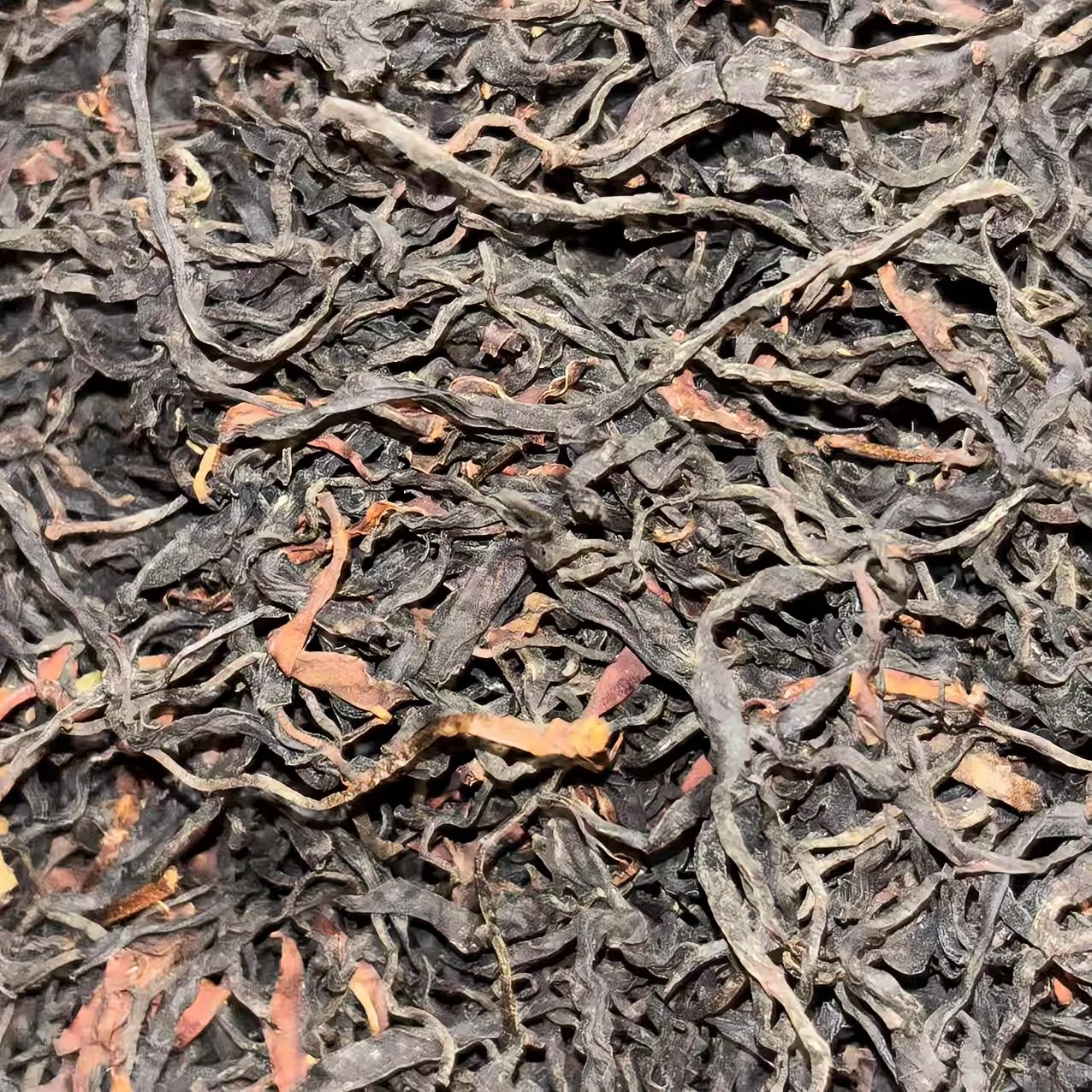 2025年 白莺山·千年老妖古树红茶 云南红茶 散茶