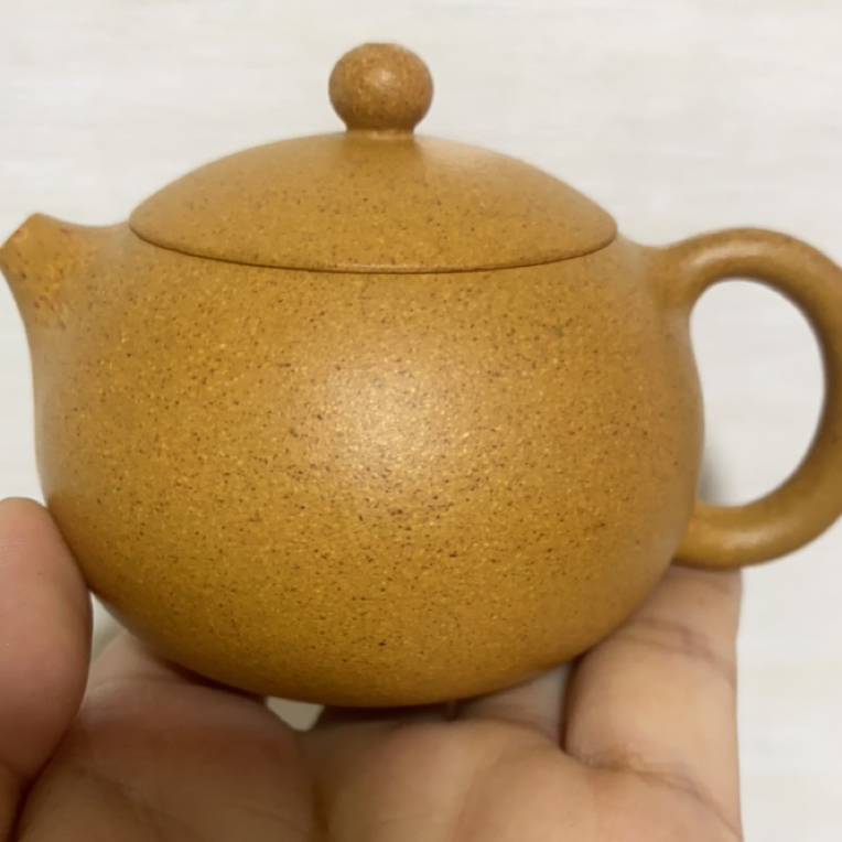 黄金段西施壶，100毫升