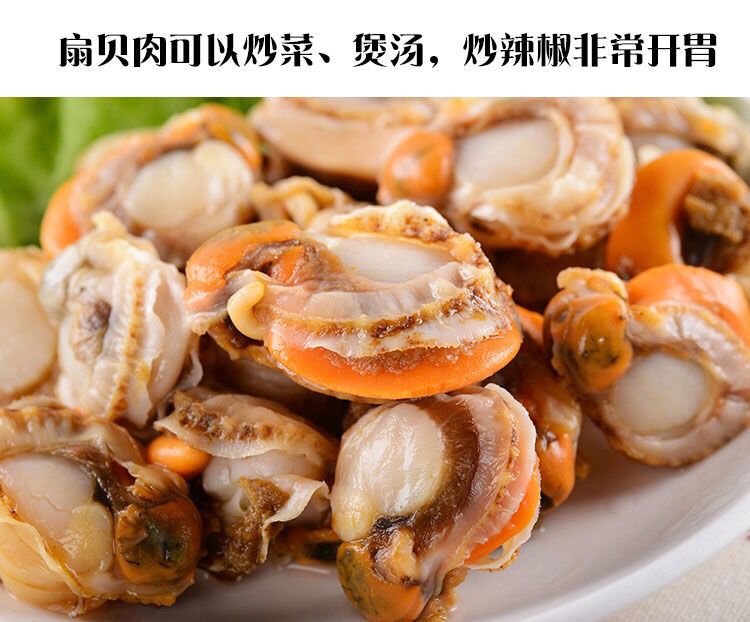 丹东东港新鲜扇贝肉无沙无冰衣5斤顺丰包邮