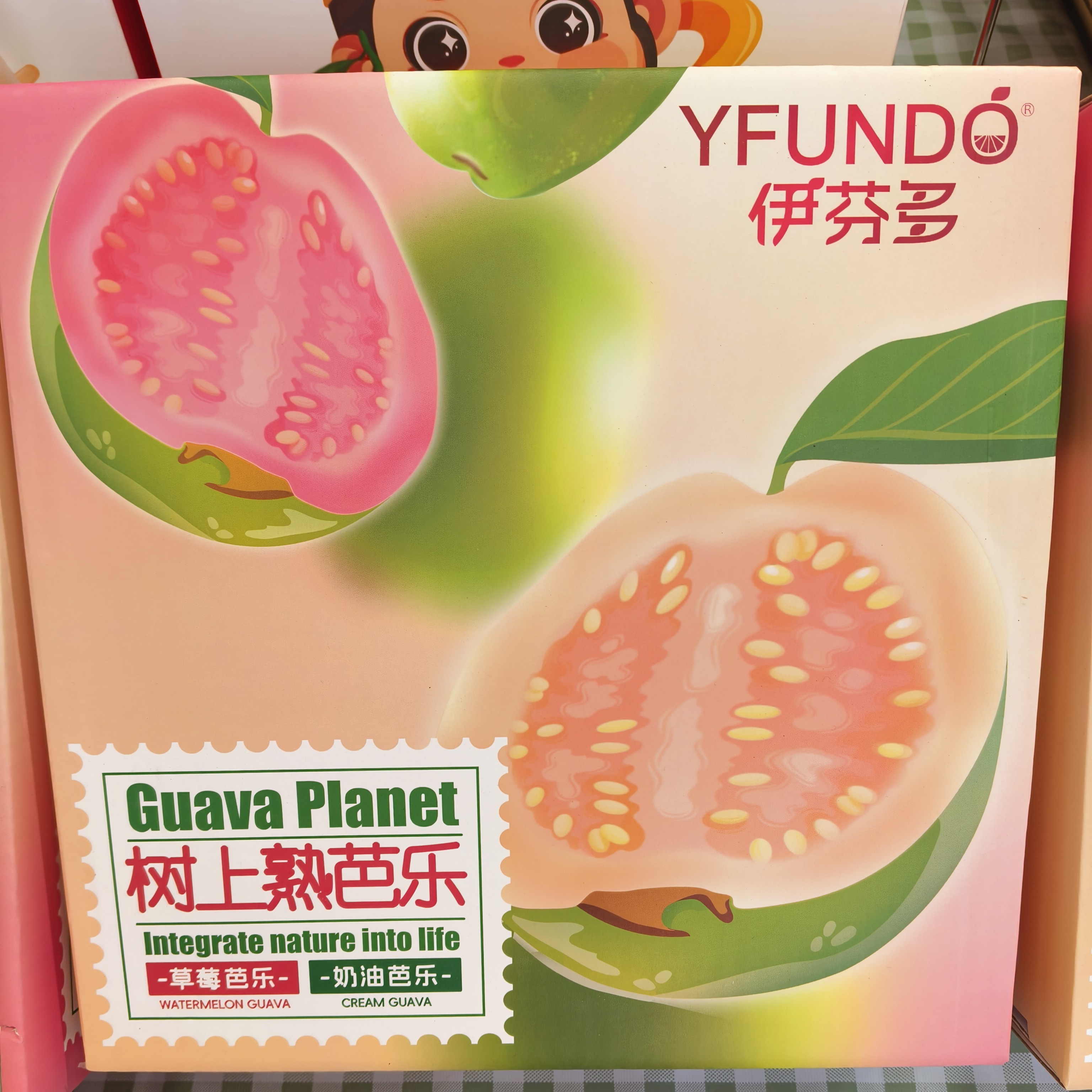 树熟奶油芭乐一箱