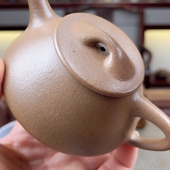 紫砂茶壶今天不知道