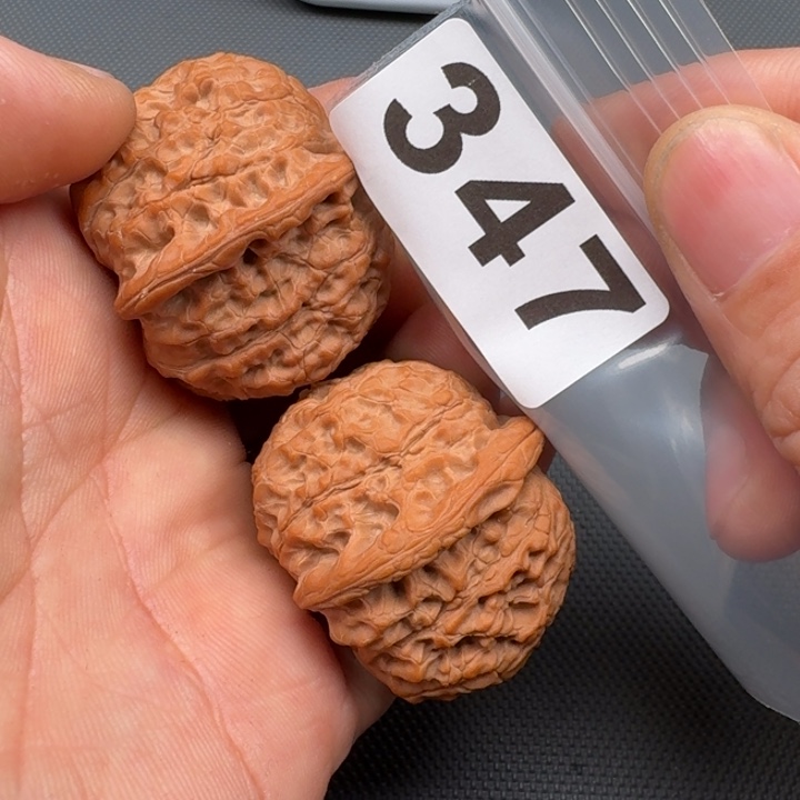 文玩核桃把件鲨***x血麒麟40