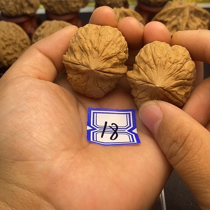 文玩核桃吊坠34龟甲纹