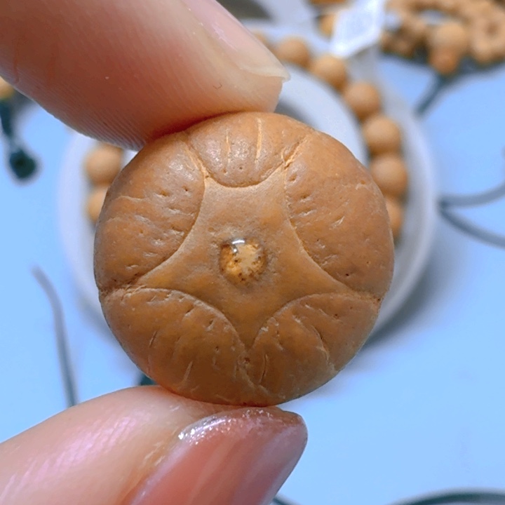 凤眼菩提吊坠17.6mm五星85@6310