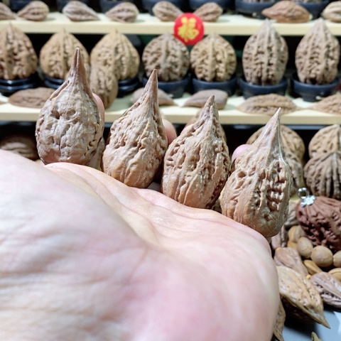 文玩核桃把件四个长尖