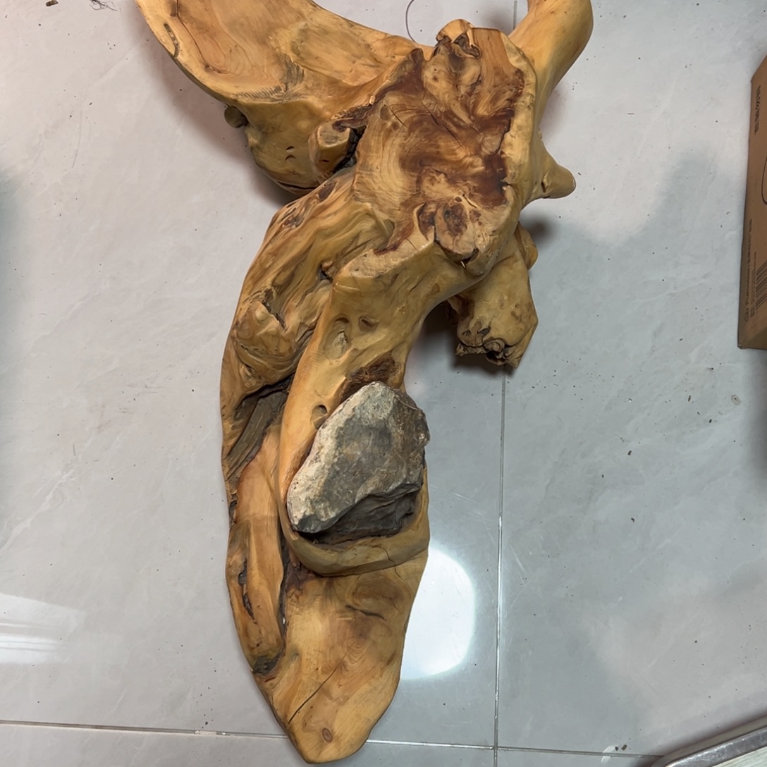 其他柏木（崖柏）随机