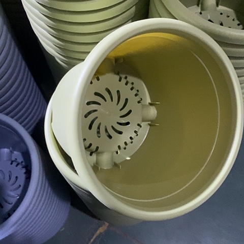 树脂四季3号果绿无托10个