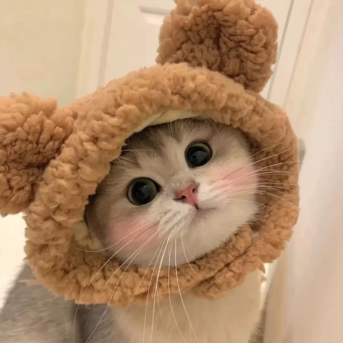 宠物帽子毛绒变装头套可爱猫咪狗狗拍照头饰搞怪通用装饰