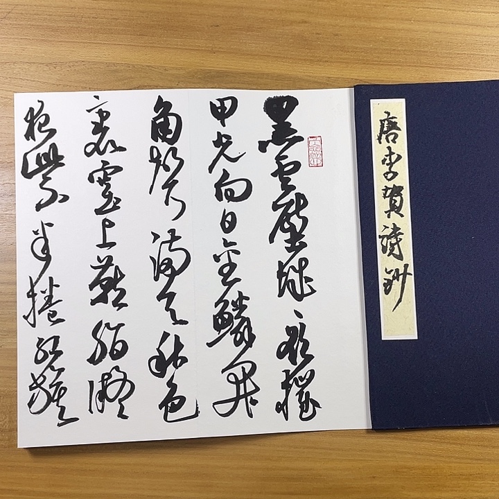 书法中书协老师作品