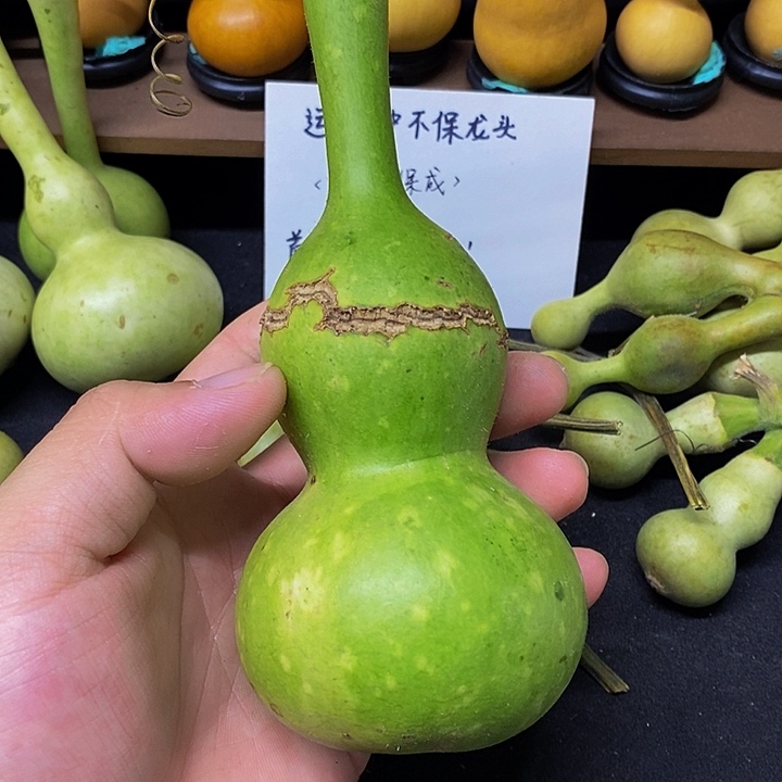 用****0长嘴哈哈哈哈哈哈哈哈哈哈哈好