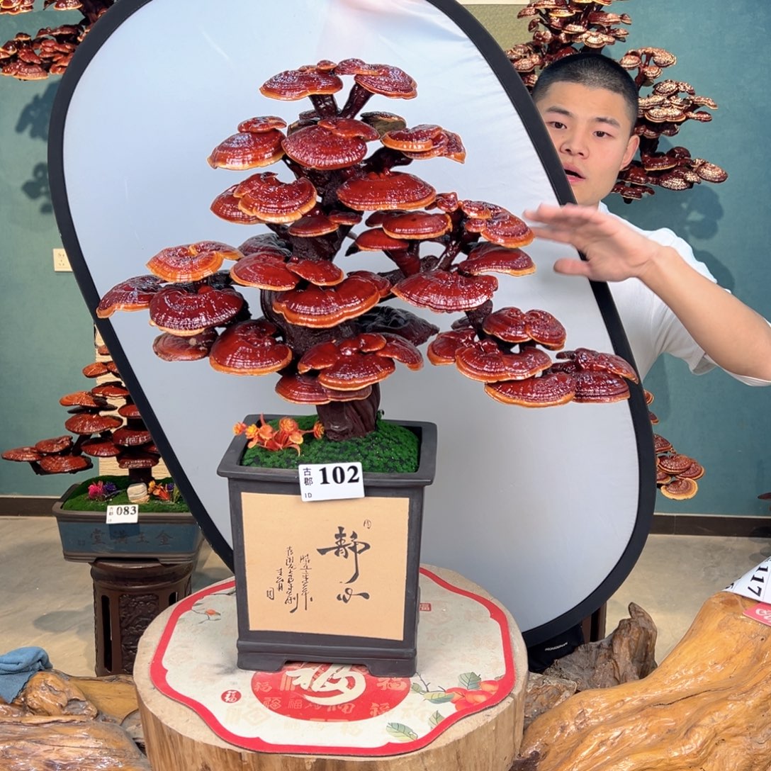 无花朵88888888888