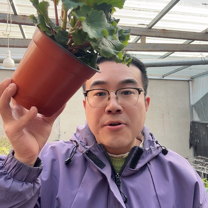 蒋***兰完全开放风暴粉➕保温