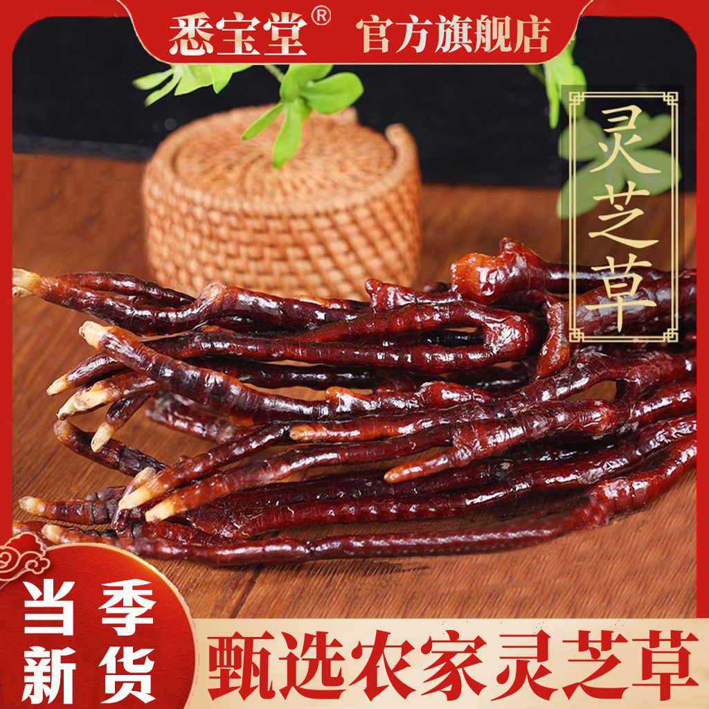 ZL 正品灵芝草农家干货整枝灵芝草煲汤炖鸡泡茶泡酒