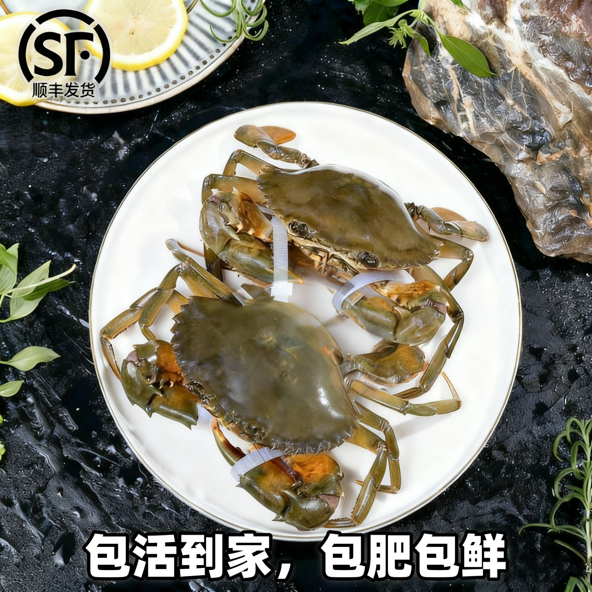 4只1.2-1.6斤装 【唐鲜生】福建可拍青蟹鲜活特大红膏蟹红鲟