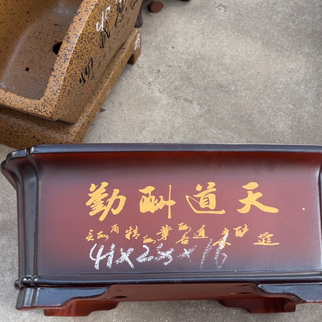 花盆紫砂盆景艺术