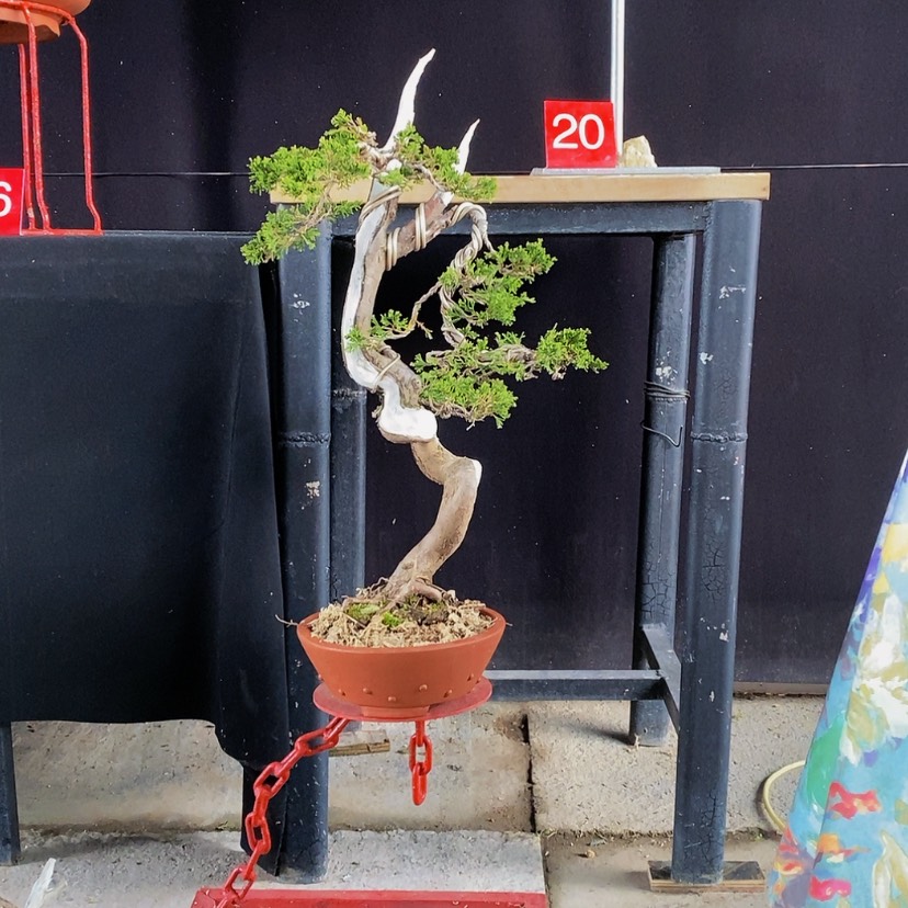 【闪购商品】完全开放自****H